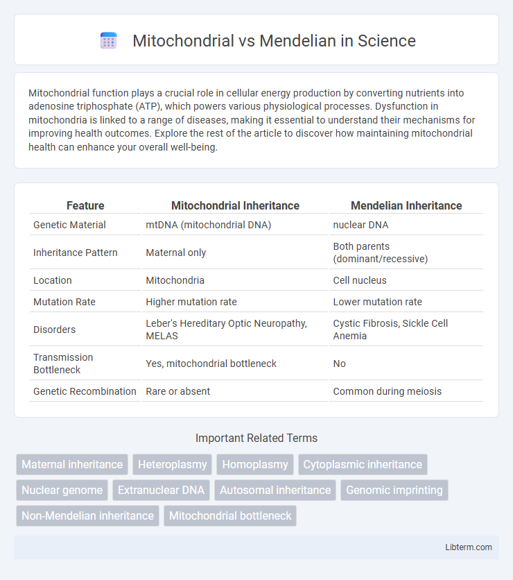 Mendelian vs Mitochondrial in Science - What is The Difference?