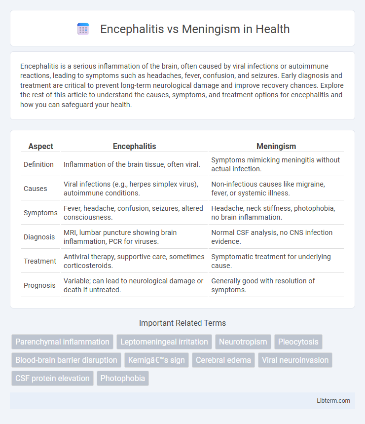Meningism vs Encephalitis in Health - What is The Difference?
