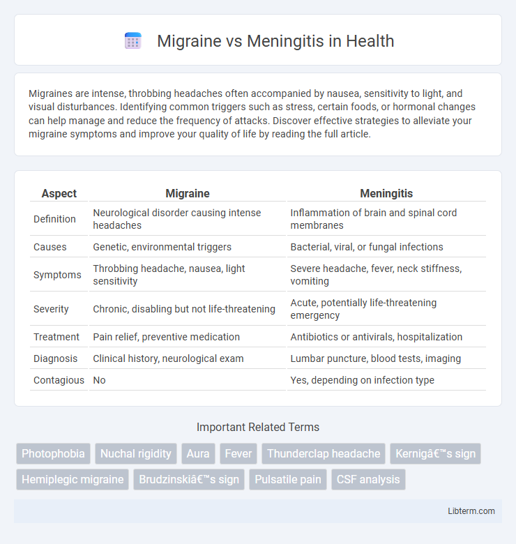 Meningitis vs Migraine in Health - What is The Difference?