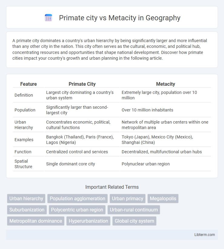 Metacity vs Primate city in Geography - What is The Difference?