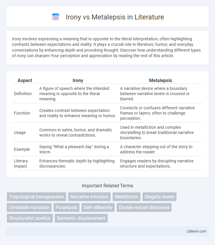 Metalepsis vs Irony in Literature - What is The Difference?