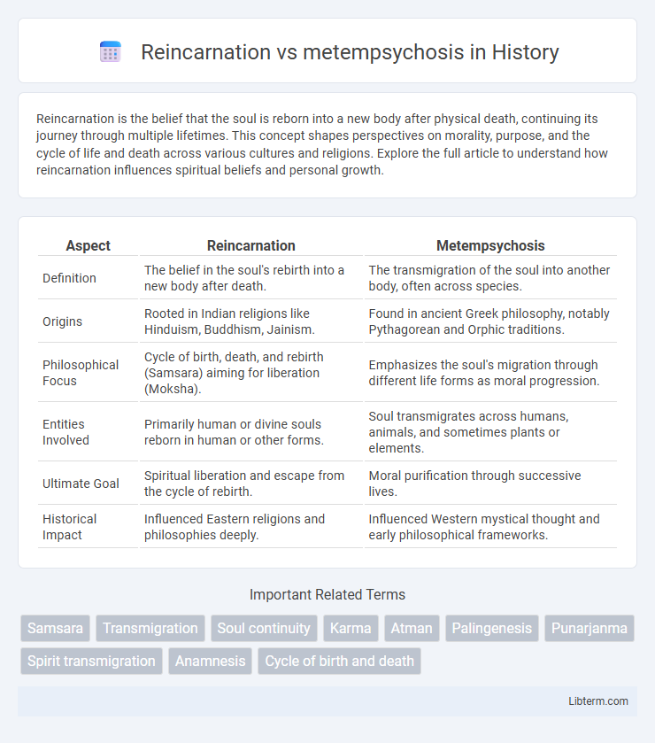 metempsychosis vs Reincarnation in History - What is The Difference?