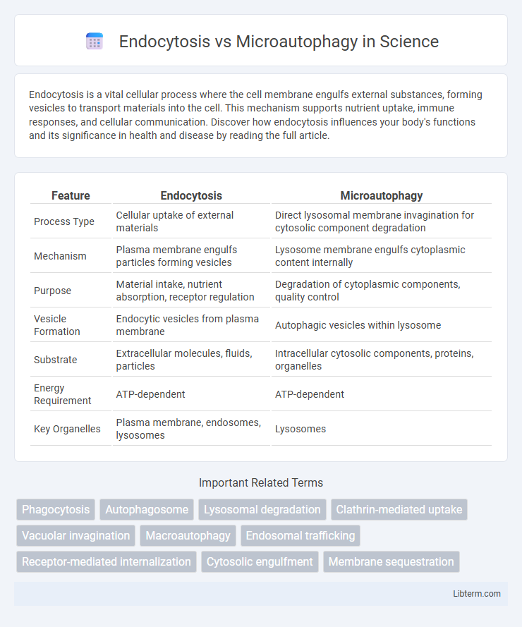 Microautophagy vs Endocytosis in Science - What is The Difference?