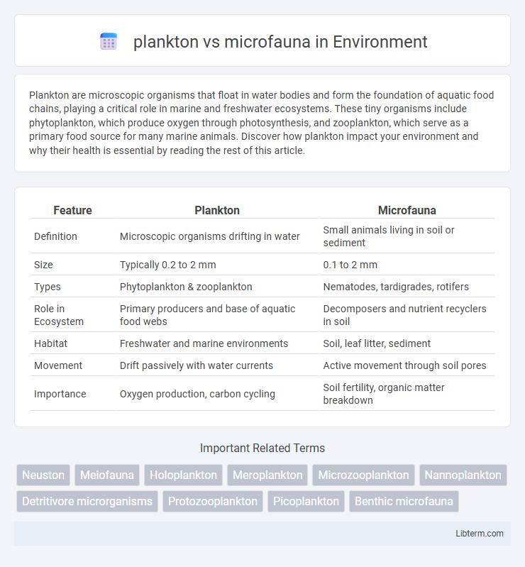 microfauna vs plankton in Environment - What is The Difference?