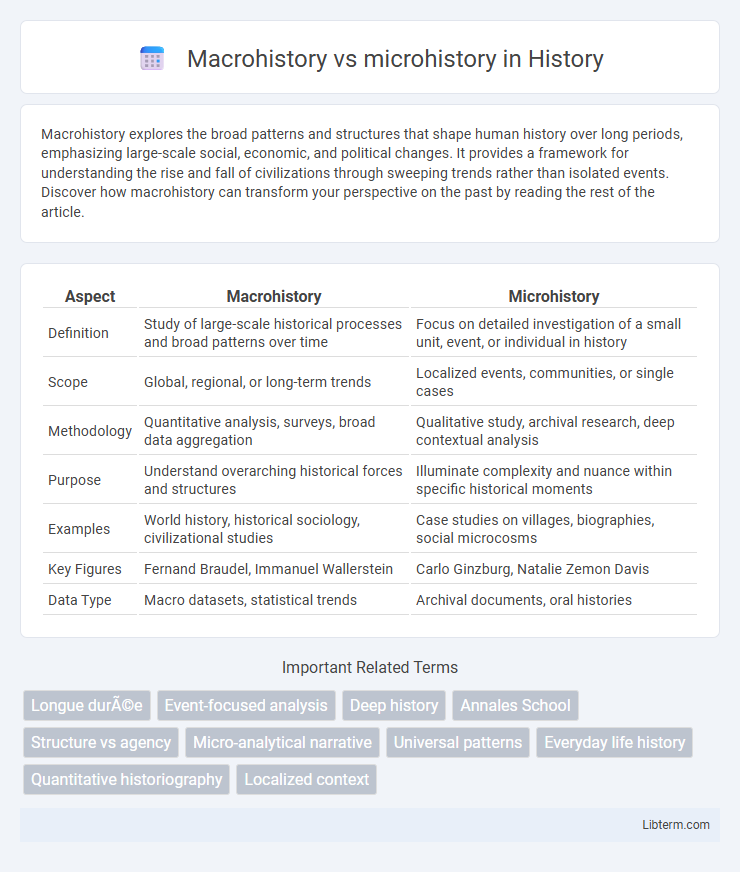 microhistory vs Macrohistory in History - What is The Difference?