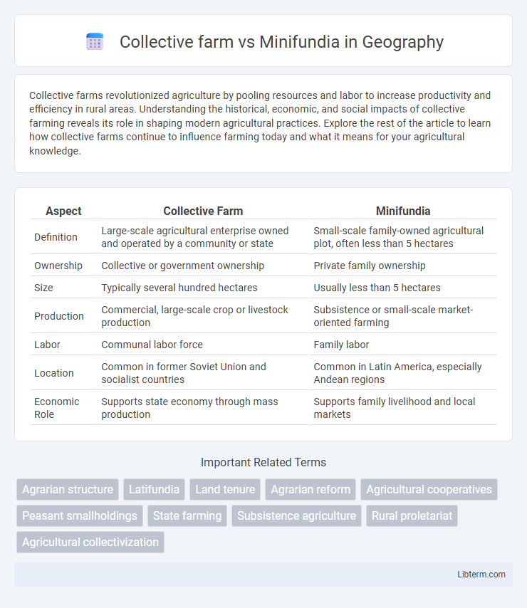 Minifundia vs Collective farm in Geography - What is The Difference?