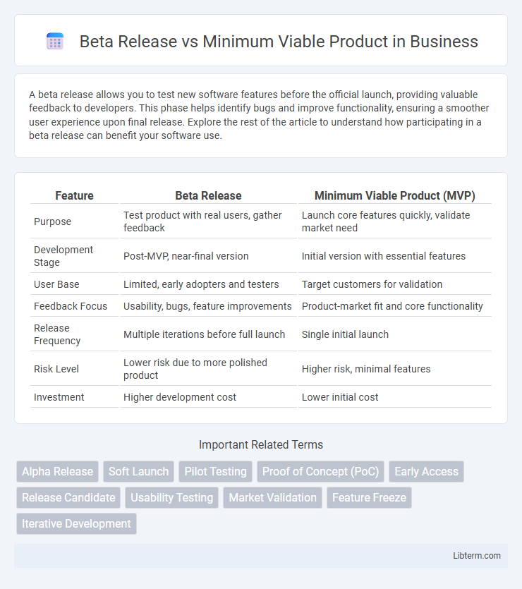 Minimum Viable Product vs Beta Release in Business - What is The Difference?