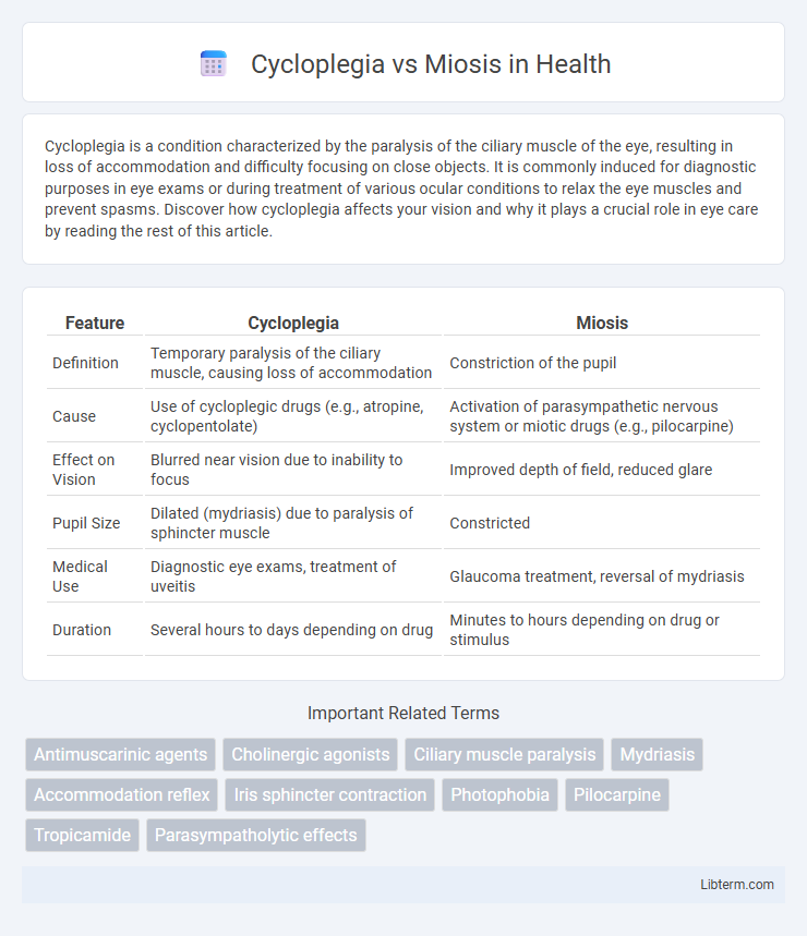 Miosis vs Cycloplegia in Health - What is The Difference?