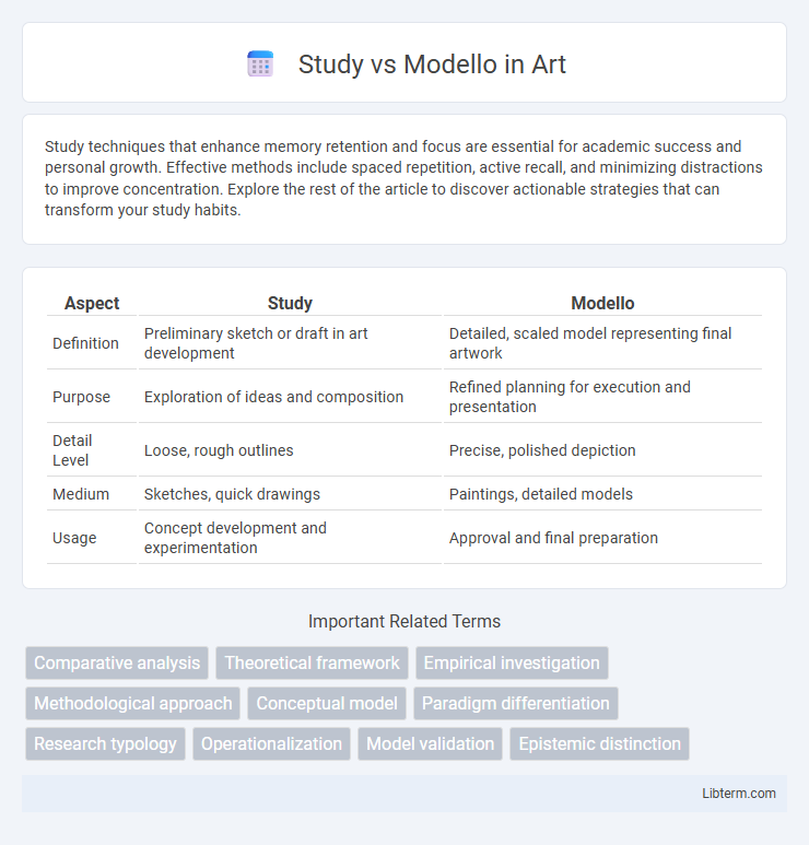 Modello vs Study in Art - What is The Difference?