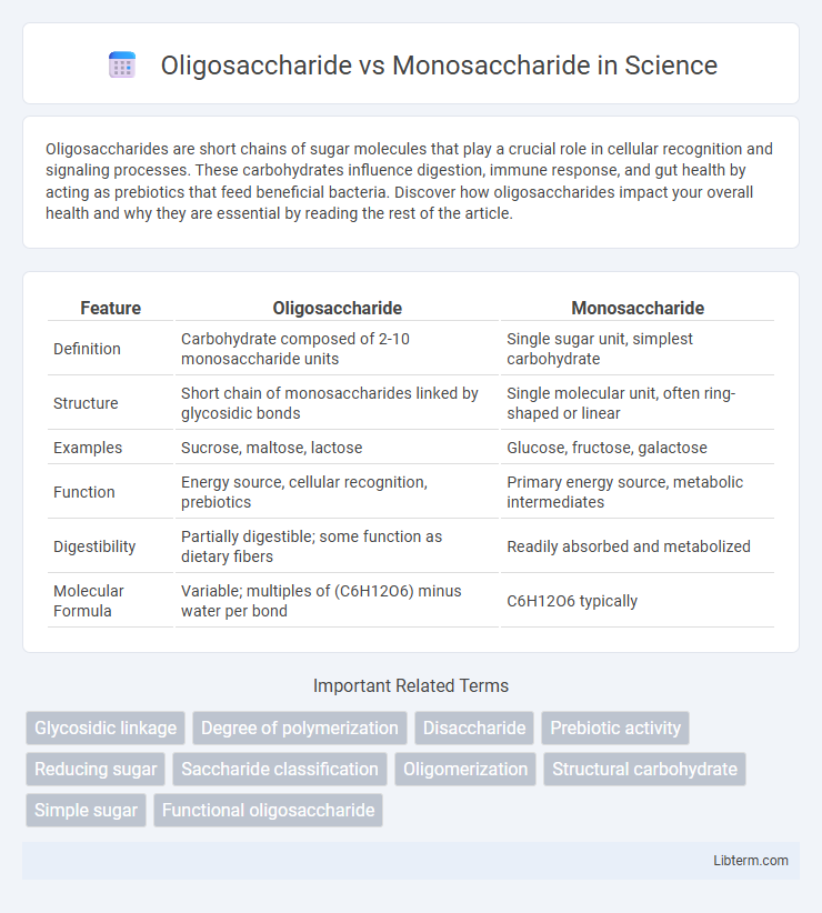 Monosaccharide vs Oligosaccharide in Science - What is The Difference?