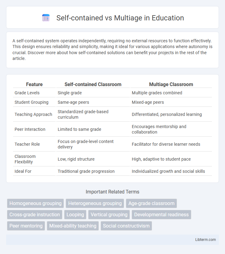 Multiage vs Self-contained in Education - What is The Difference?
