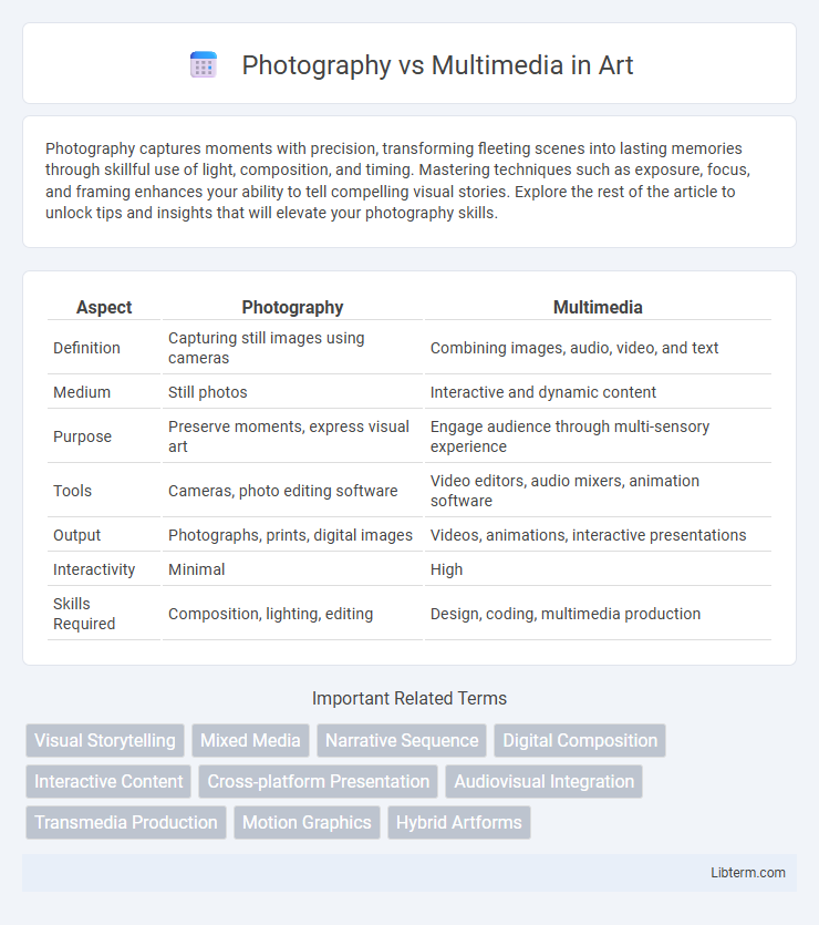 Multimedia vs Photography in Art - What is The Difference?