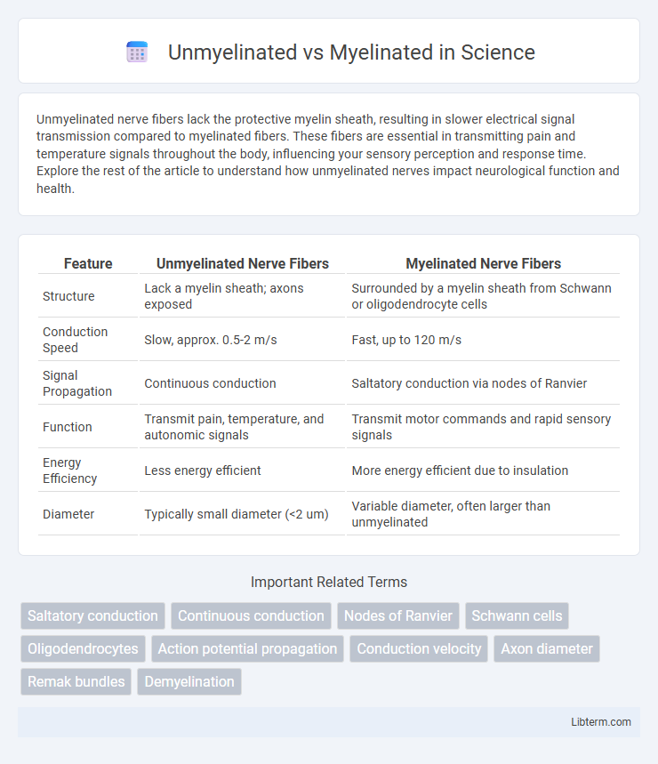 Myelinated vs Unmyelinated in Science - What is The Difference?