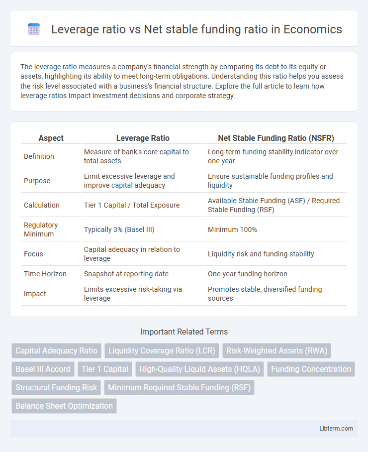 Net stable funding ratio vs Leverage ratio in Economics - What is The Difference?