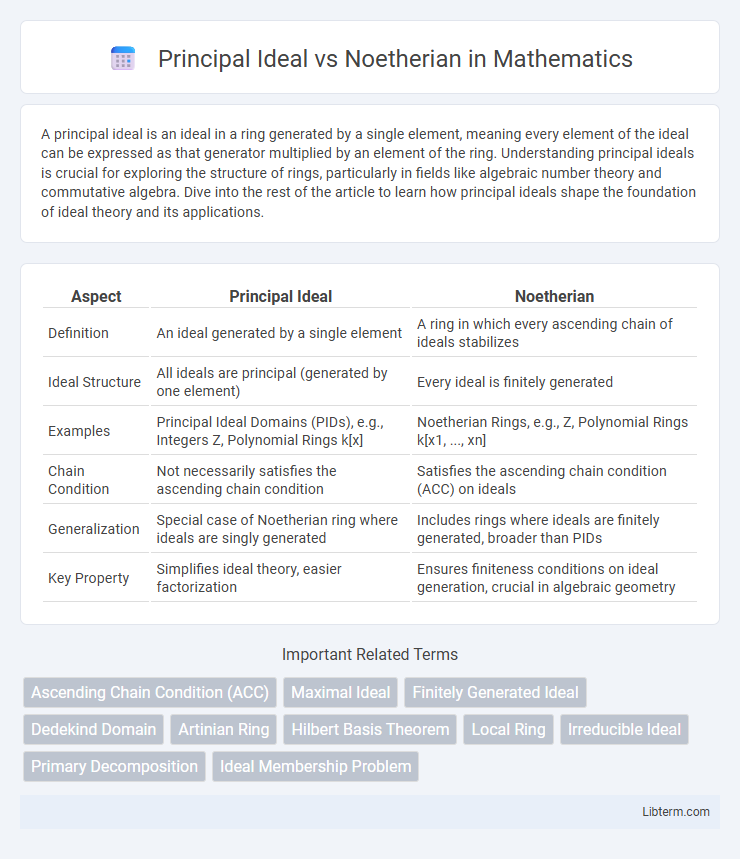 Noetherian vs Principal Ideal in Mathematics - What is The Difference?