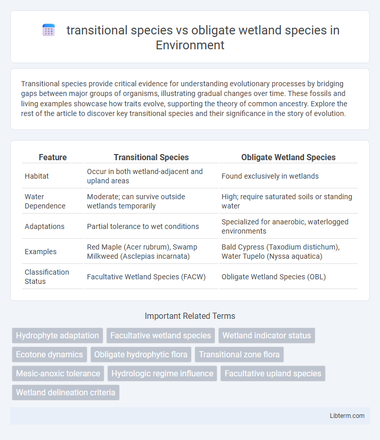 obligate wetland species vs transitional species in Environment - What is The Difference?