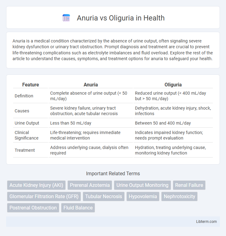 Oliguria vs Anuria in Health - What is The Difference?