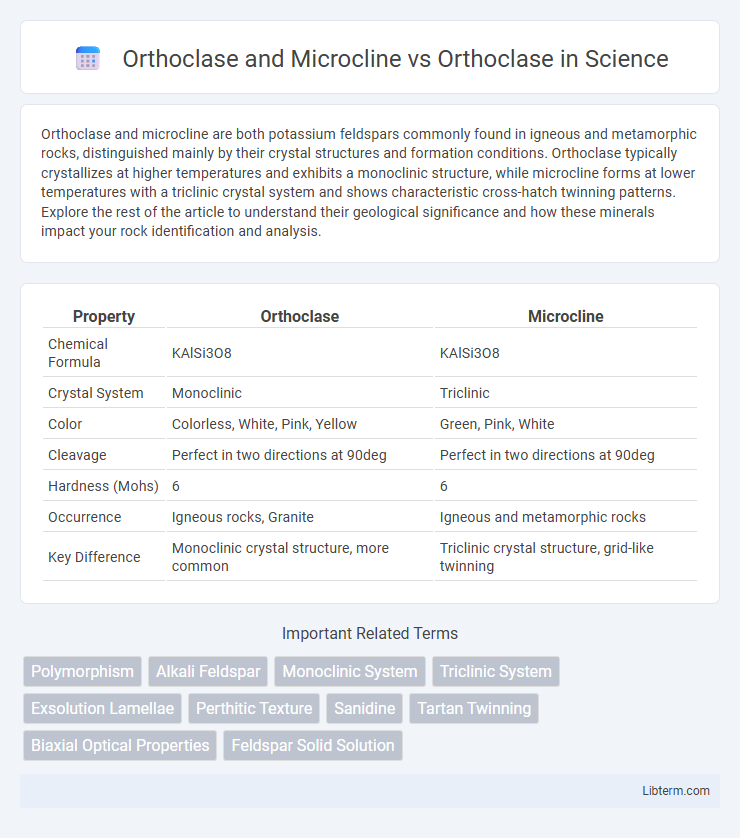 Orthoclase vs Orthoclase and Microcline in Science - What is The Difference?