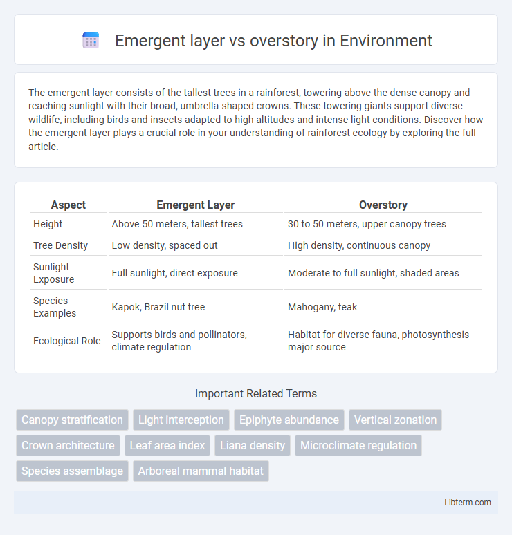 overstory vs Emergent layer in Environment - What is The Difference?