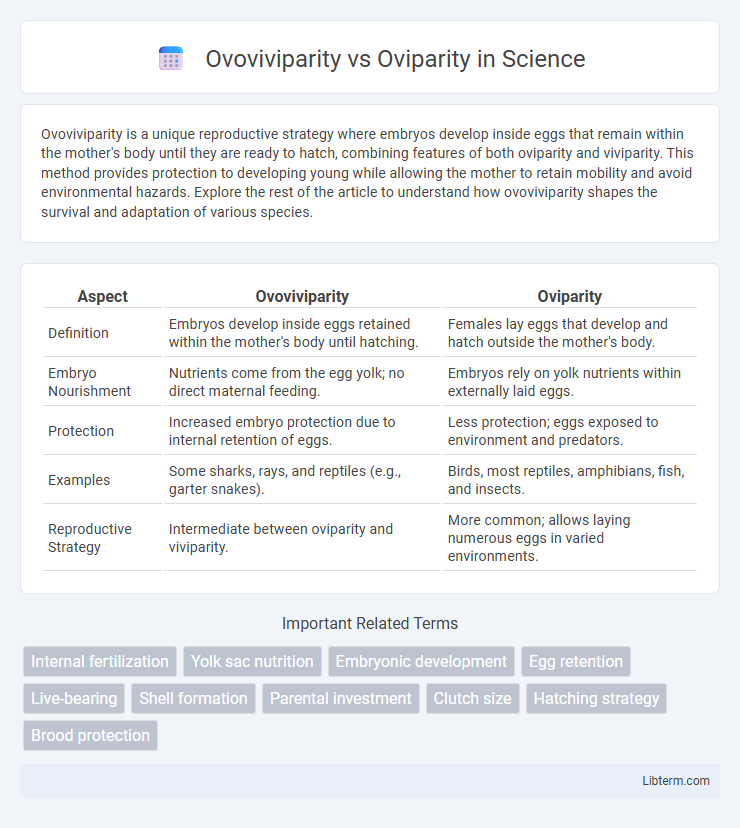 Oviparity vs Ovoviviparity in Science - What is The Difference?