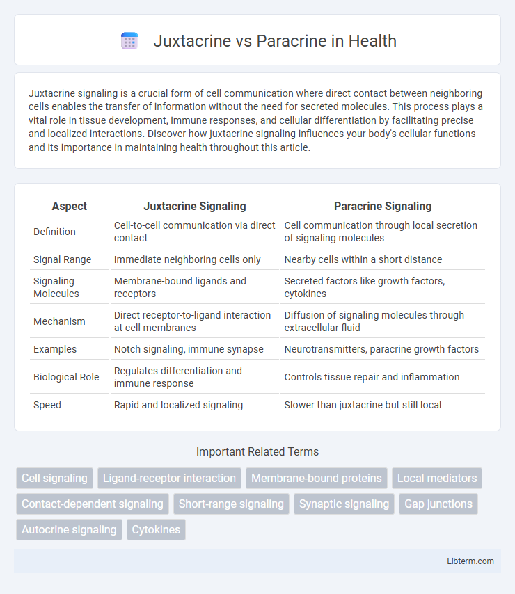 Paracrine vs Juxtacrine in Health - What is The Difference?