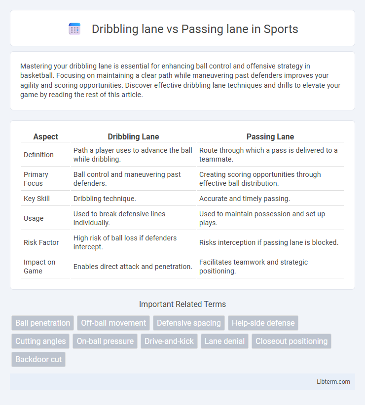 Passing lane vs Dribbling lane in Sports - What is The Difference?