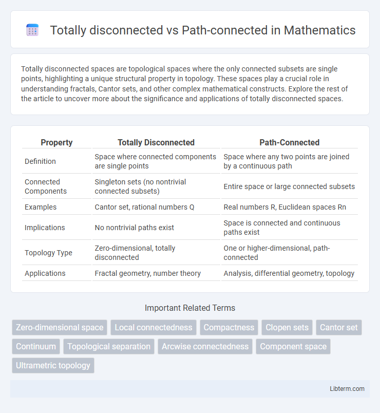 Path-connected vs Totally disconnected in Mathematics - What is The Difference?