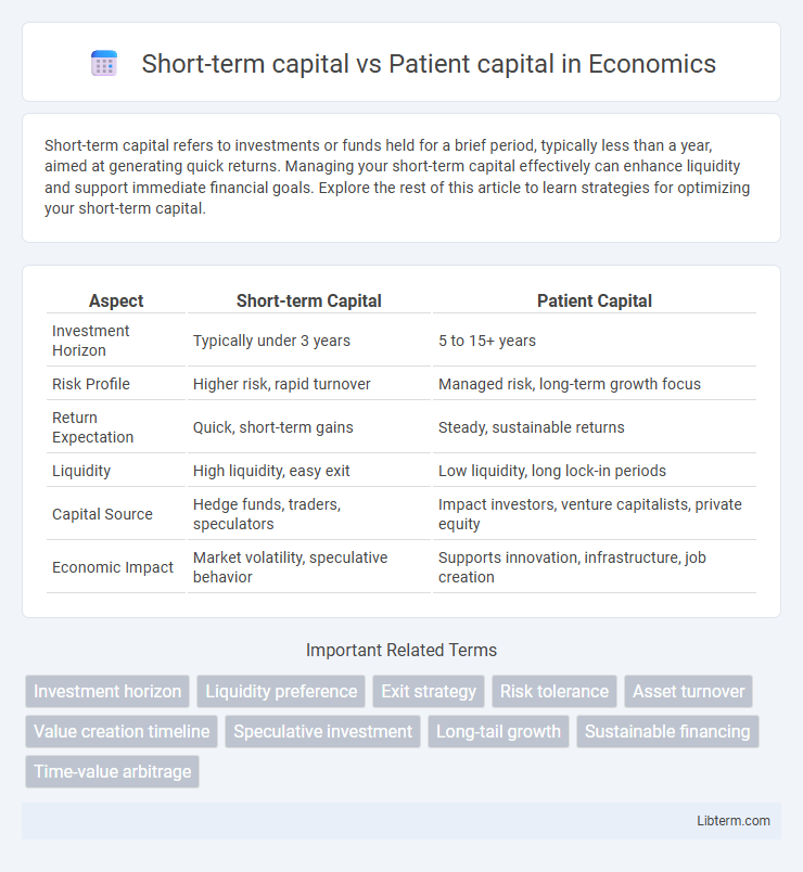 Patient capital vs Short-term capital in Economics - What is The Difference?