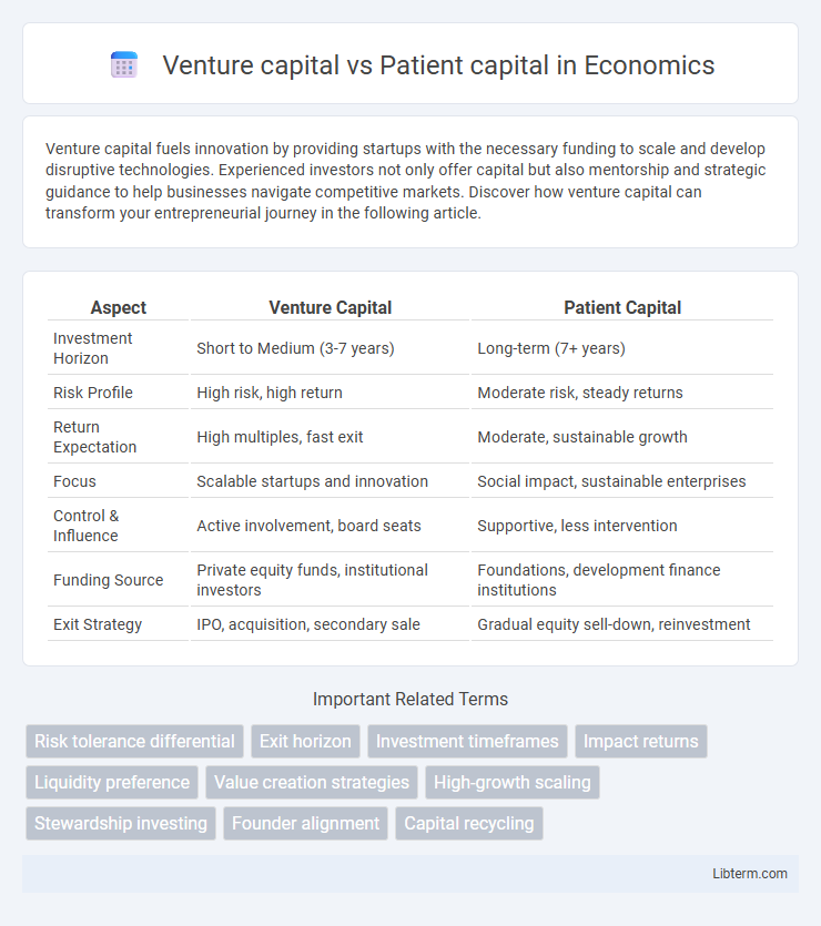 Patient capital vs Venture capital in Economics - What is The Difference?