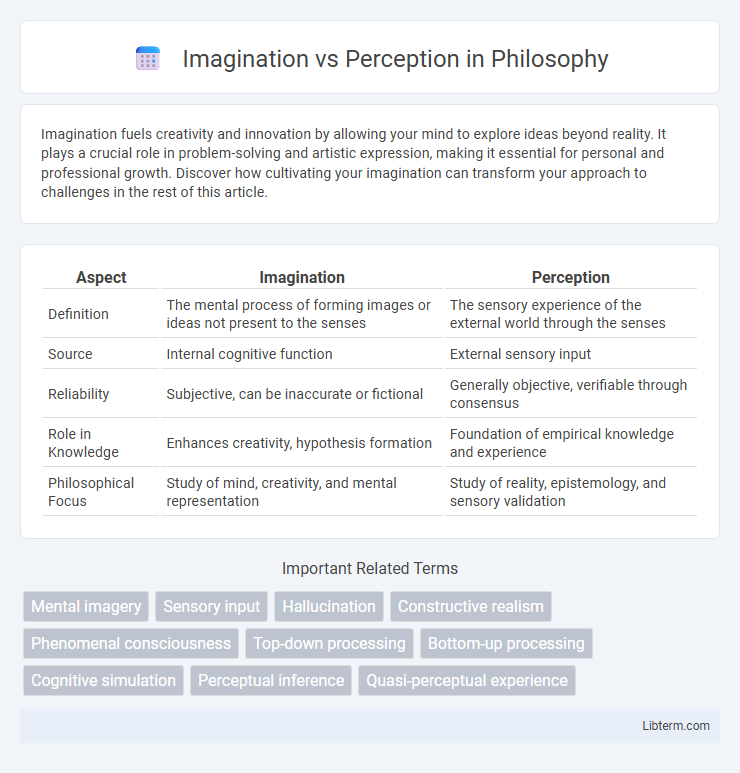 Perception vs Imagination in Philosophy - What is The Difference?