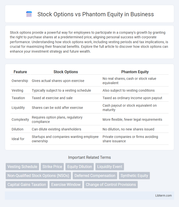 Phantom Equity vs Stock Options in Business - What is The Difference?