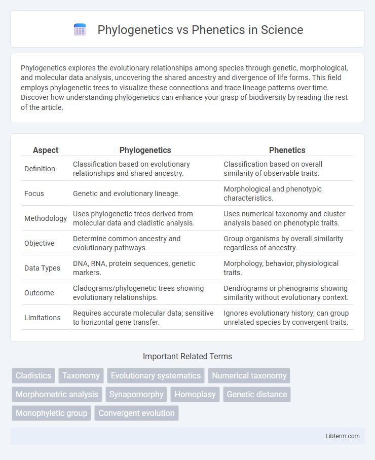 Phenetics vs Phylogenetics in Science - What is The Difference?