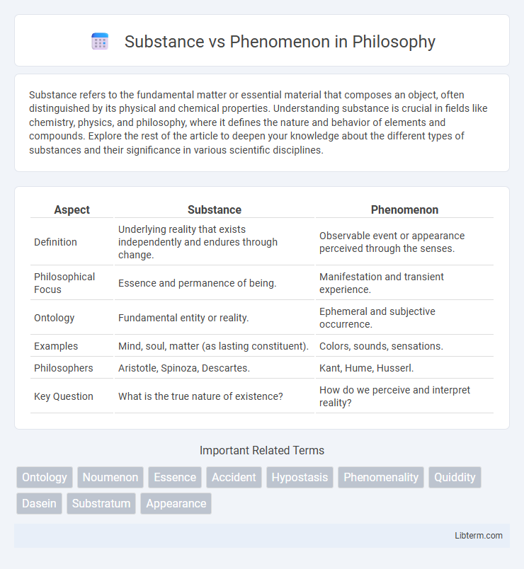 Phenomenon vs Substance in Philosophy - What is The Difference?