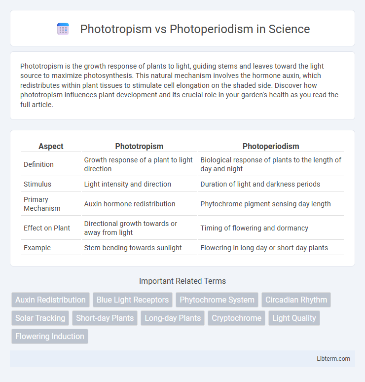 Photoperiodism vs Phototropism in Science - What is The Difference?