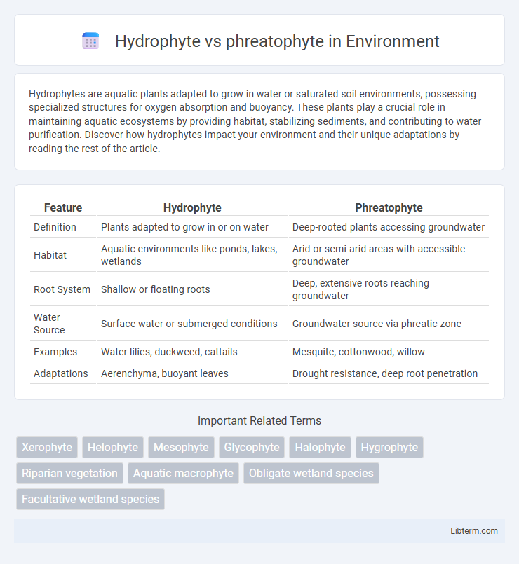phreatophyte vs Hydrophyte in Environment - What is The Difference?