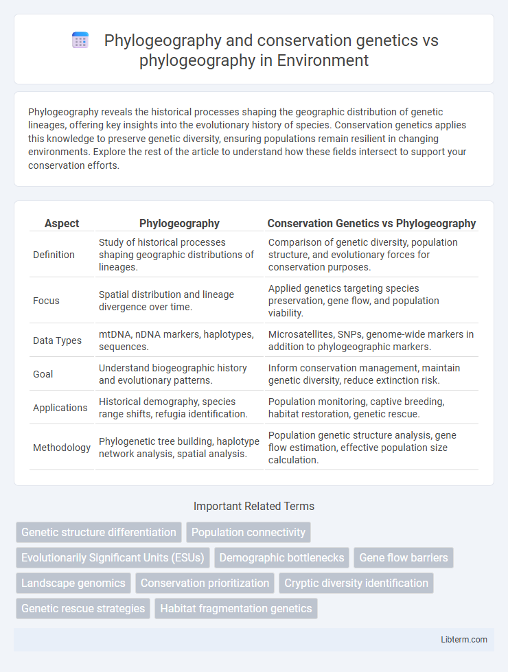 phylogeography vs Phylogeography and conservation genetics in Environment - What is The Difference?