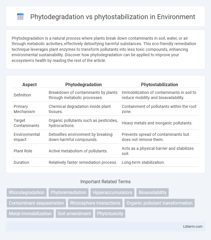 phytostabilization vs Phytodegradation in Environment - What is The Difference?