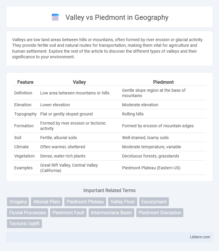 Piedmont vs Valley in Geography - What is The Difference?