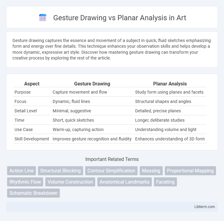 Planar Analysis vs Gesture Drawing in Art - What is The Difference?
