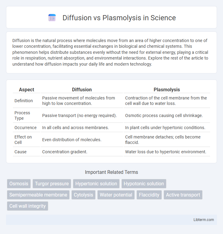 Plasmolysis vs Diffusion in Science - What is The Difference?