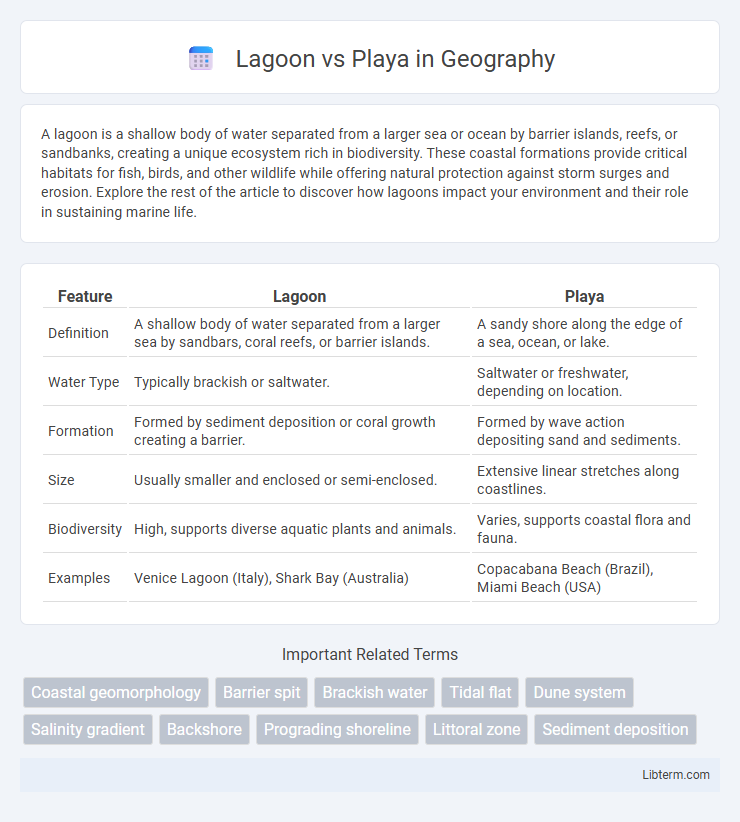 Playa vs Lagoon in Geography - What is The Difference?