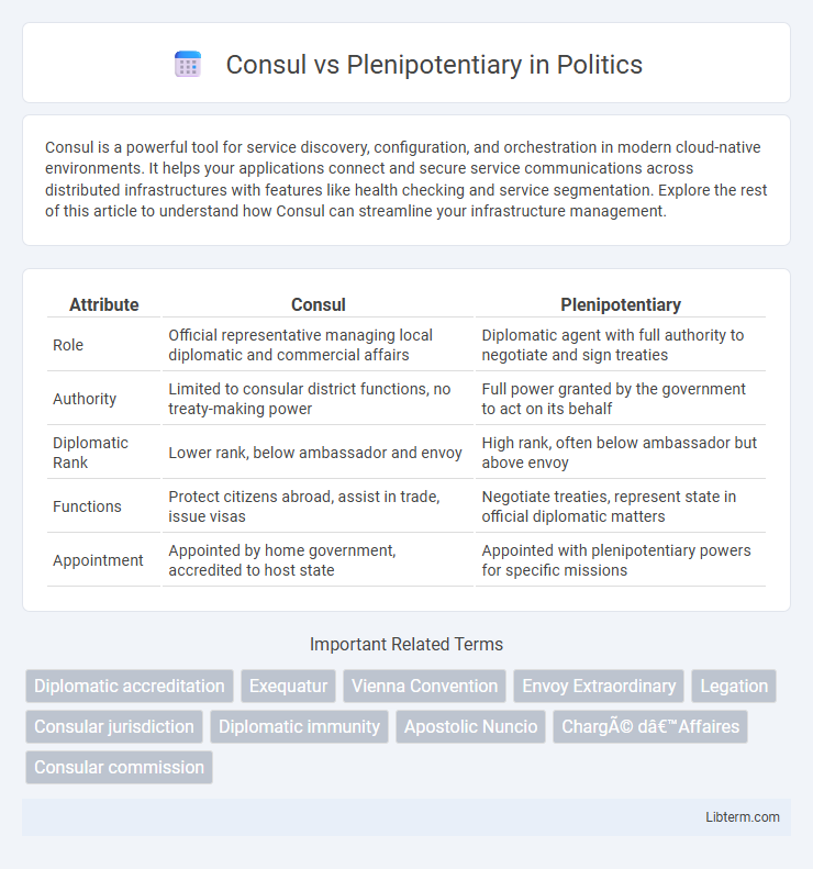 Plenipotentiary vs Consul in Politics - What is The Difference?