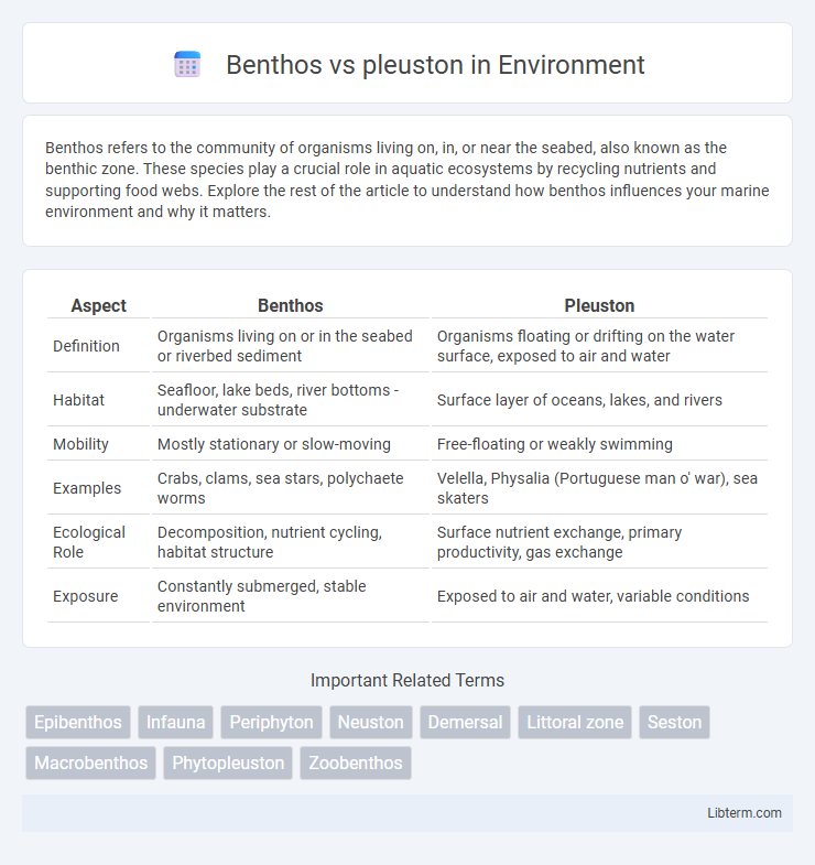 pleuston vs Benthos in Environment - What is The Difference?