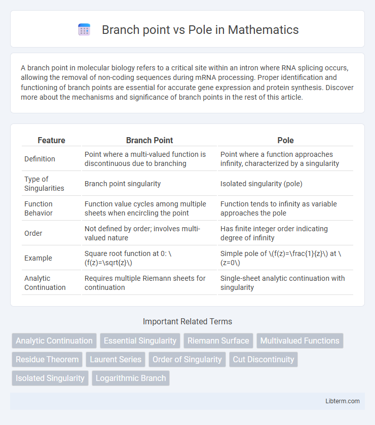 Pole vs Branch point in Mathematics - What is The Difference?