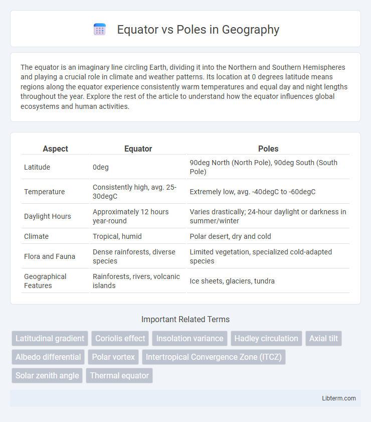 Poles vs Equator in Geography - What is The Difference?