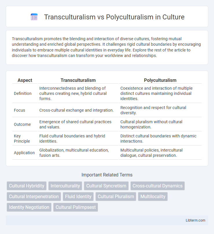 Polyculturalism vs Transculturalism in Culture - What is The Difference?