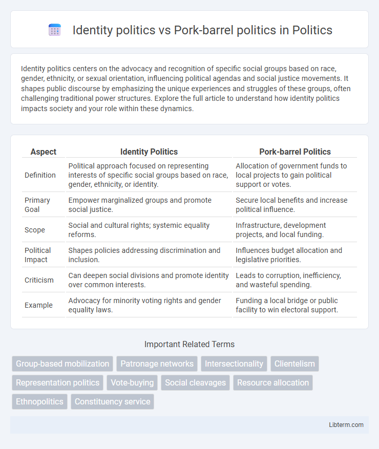 Pork-barrel politics vs Identity politics in Politics - What is The Difference?