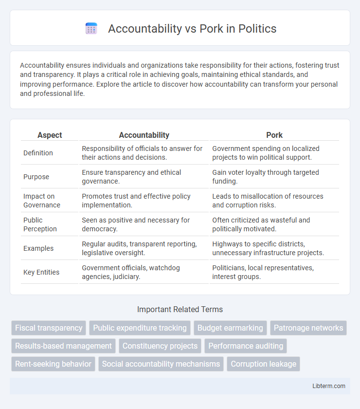 Pork vs Accountability in Politics - What is The Difference?