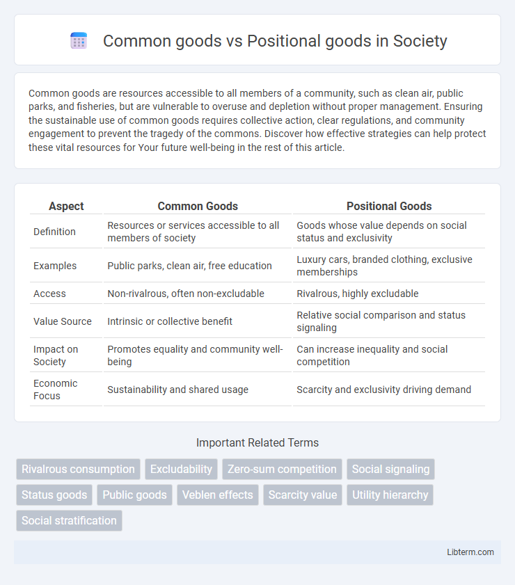 Positional goods vs Common goods in Society - What is The Difference?