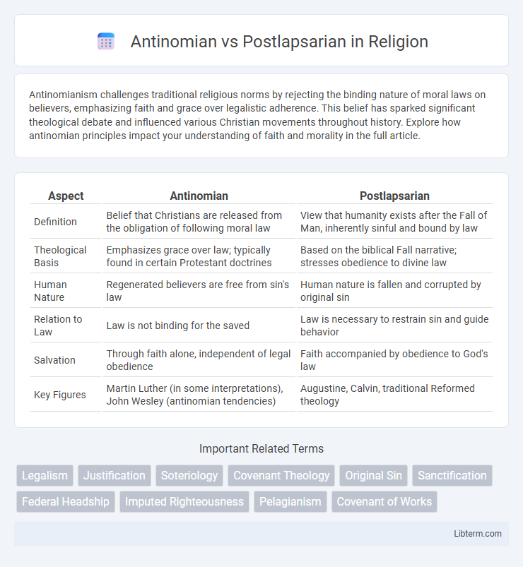 Postlapsarian vs Antinomian in Religion - What is The Difference?
